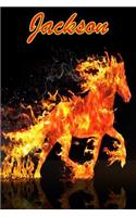 Horse Passion