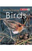 Remarkable Birds of South Africa
