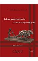 Labour Organisation in Middle Kingdom Egypt