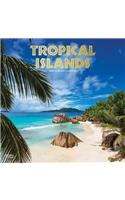 Tropical Islands 2020 Square Foil