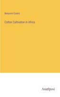 Cotton Cultivation in Africa