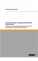 Gewalt an Schulen, Jugendkriminalität und Sozialstruktur