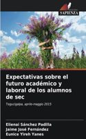 Expectativas sobre el futuro académico y laboral de los alumnos de sec