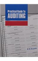 Practical Guide to Auditing