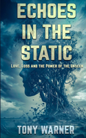 Echoes in the Static
