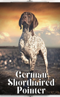 German Shorthaired Pointer