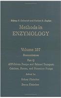 Biomembranes, Part Q: ATP-Driven Pumps and Related Transport: Calcium, Proton, and Potassium Pumps: 157 (Methods in Enzymology)