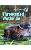 Threatened Wetlands