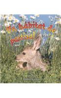 Un Hábitat de Pastizal (a Grassland Habitat)