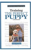 A New Owner's Guide to Training the Perfect Puppy