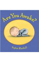 Are You Awake?: A Picture Book