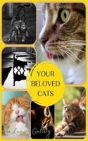 Your Beloved Cats