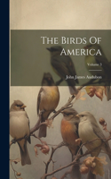 Birds Of America; Volume 3