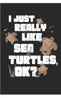 I Just Really Like Sea Turtles, OK?