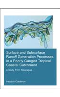 Surface and Subsurface Runoff Generation Processes in a Poorly Gauged Tropical Coastal Catchment: A Study from Nicaragua