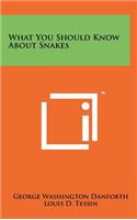 What You Should Know about Snakes