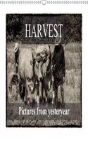 Harvest, Pictures from Yesteryear 2017