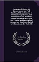 Ornamental Shrubs for Garden, Lawn, and Park Planting, With an Account of the Origin, Capabilities, and Adaptations of the Numerous Species and Varieties, Native and Foreign, and Especially of the new and Rare Sorts, Suited to Cultivation in the Un
