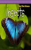 Insects