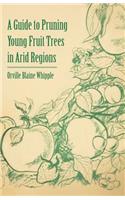 Guide to Pruning Young Fruit Trees in Arid Regions