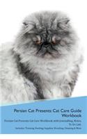Persian Cat Presents
