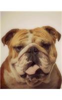 Bulldog: Artified Pets Journal/Notebook/Diary, 160 Lined Pages(Artified Pets/Dog)
