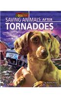 Saving Animals After Tornadoes