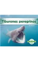 Tiburones Peregrinos (Basking Sharks) (Spanish Version)