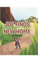 Joe Finds a New Home