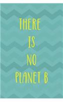 There Is No Planet B