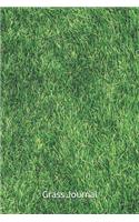 Grass Journal: Notebook, Diary, 6"x9" Blank Lined Pages, 121 Pages. Environmental conservation green journals to write in for women and men. Perfect gifts for gras