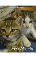 Tosia & Felix notes: Quad-Ruled notebook with lots of space for writing notes and ideas. It can be used as a notebook, journal or composition book.(2 Cats)