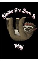 Sloths Are Born in May