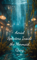Aerial Splinters Inside the Mermaid Quay