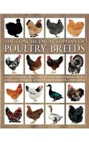 The Concise Encyclopedia of Poultry Breeds