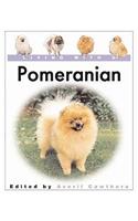Living with a Pomeranian