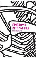 Anatomy of a Whale