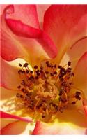 Rose Fan Fair - Lined Notebook with Margins: 101 Pages, Medium Ruled, 6 x 9 Journal, Soft Cover
