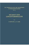 Segment und Lungentuberkulose: (10 Die Tuberkulose und ihre Grenzgebiete in Einzeldarstellungen)