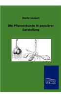 Die Pflanzenkunde in populärer Darstellung