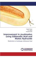 Improvement in Muskmelon Using Gibberellic Acid and Maleic Hydrazide