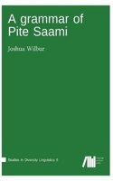 A grammar of Pite Saami