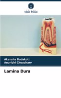 Lamina Dura