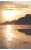 Geology of Andaman-Nicobar: The Neogene