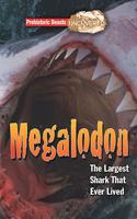 Prehistoric Beasts: Megalodon