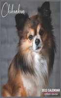 Chihuahua Calendar 2022