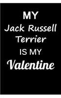 My Jack Russell Terrier Is My Valentine