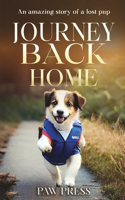 Journey Back Home