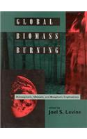 Global Biomass Burning: Atmospheric, Climatic, and Biospheric Implications