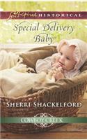 Special Delivery Baby